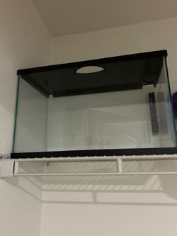Fish tank