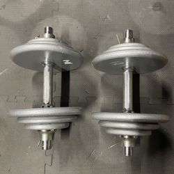 Dumbbells.             60 Dollars 