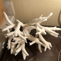 Large Coral Nautical Ocean Beach Decor