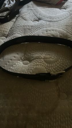Dickies belt