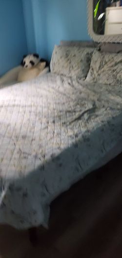 Adjustable  Full Bed