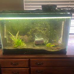 30 Gallon Tank 