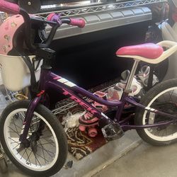 Little Girls Trek Bike