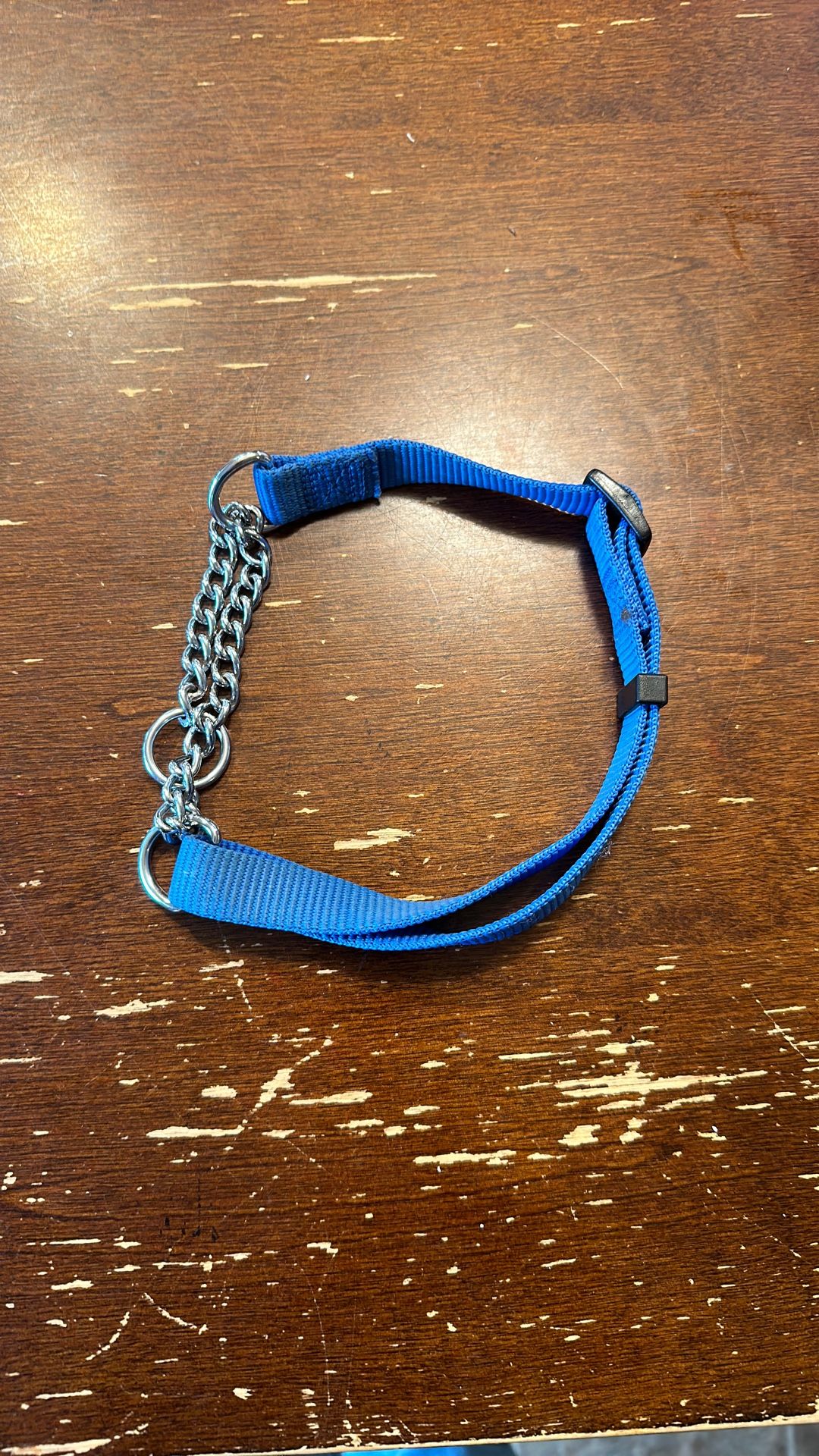 Dog Collar FREE