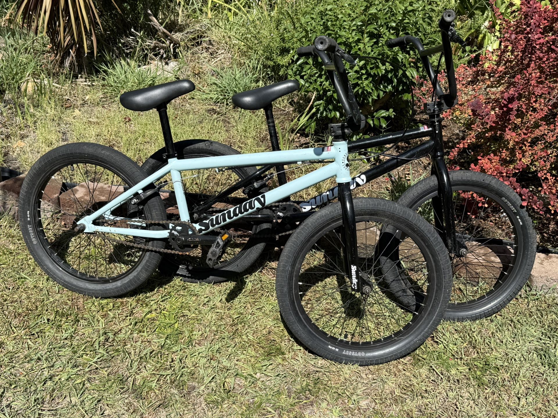 Two 20" Sunday Primers