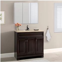 Style Selections In Surface Mount True White Mirrored Rectangle Medicine Cabinet