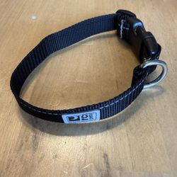 RC XS Pet Collar 