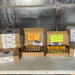 BATTERIES.  Size C +D