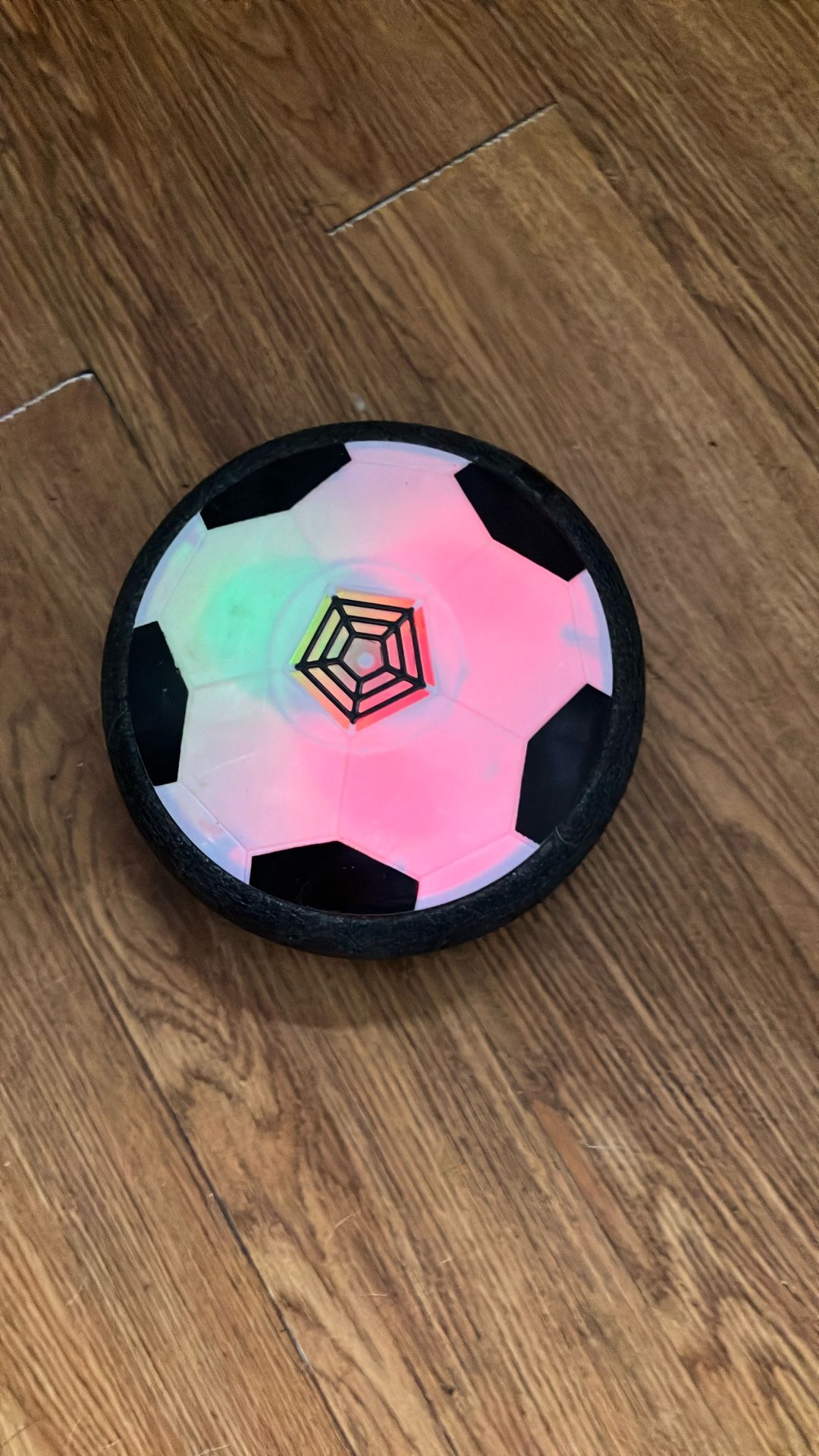 Floor Glider Pet Toy