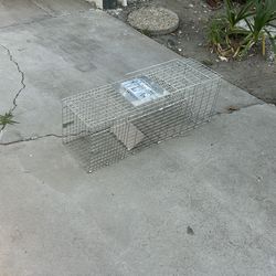 Animal trap