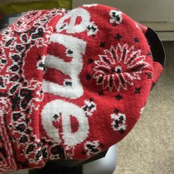 Supreme Beanie 