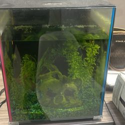 Fish Tank