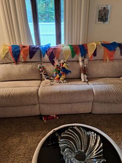 Multi colored pennant banner