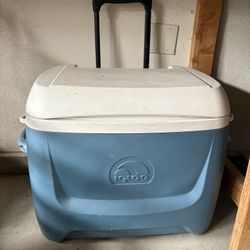 Cooler Igloo 