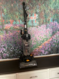 Vacuum Eureka
