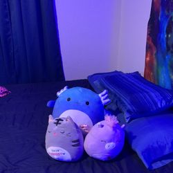 Squishmallow Bundle 