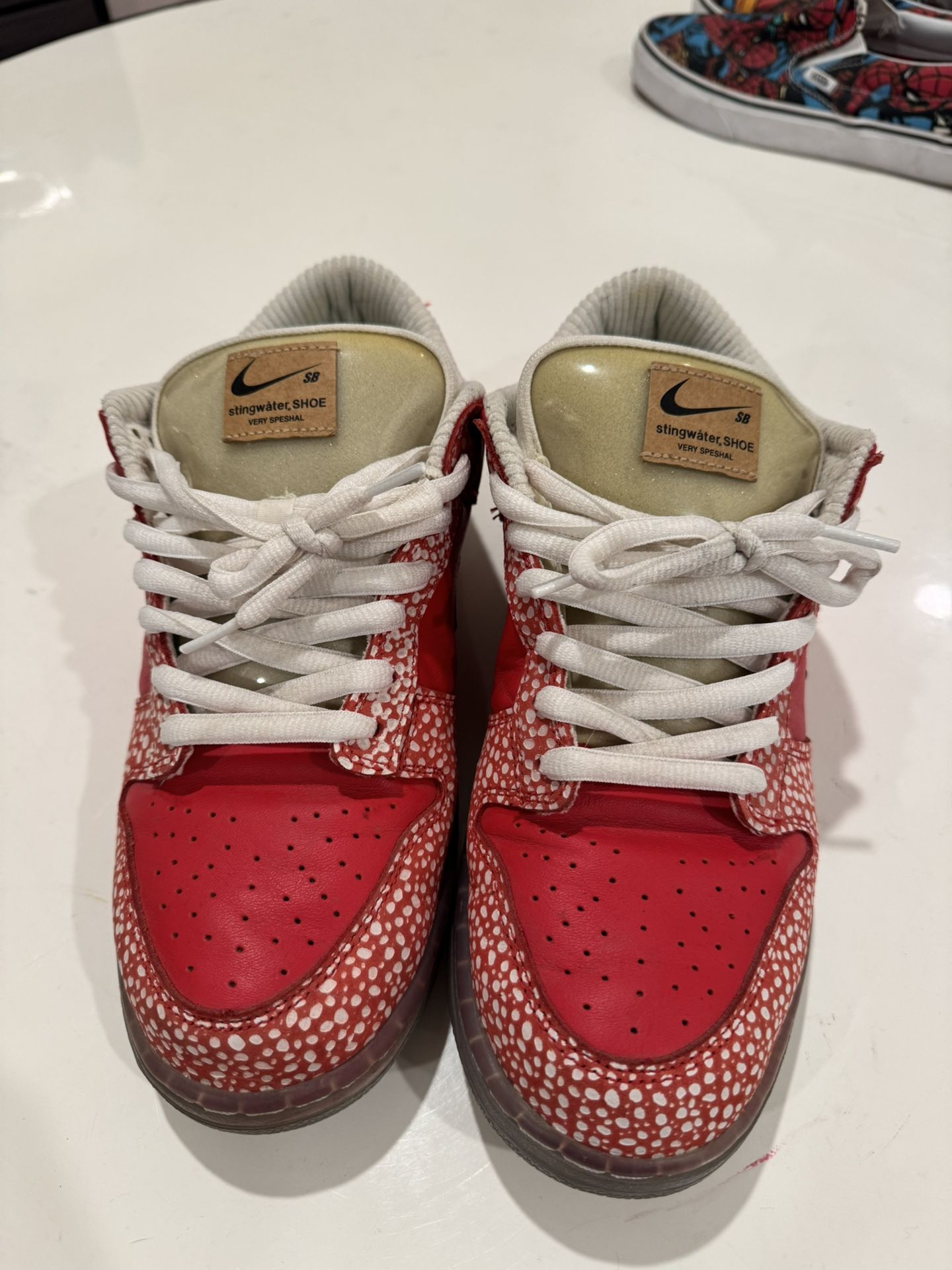 Stingwater Nike SBs