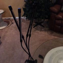 LED growlights, Grow Indoors