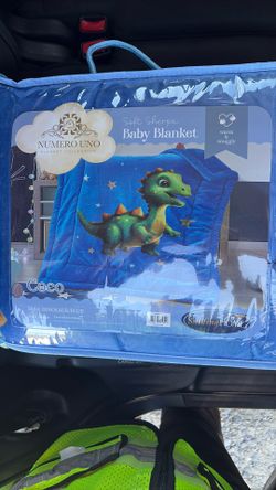 Dinosaur/blue Baby Blanket