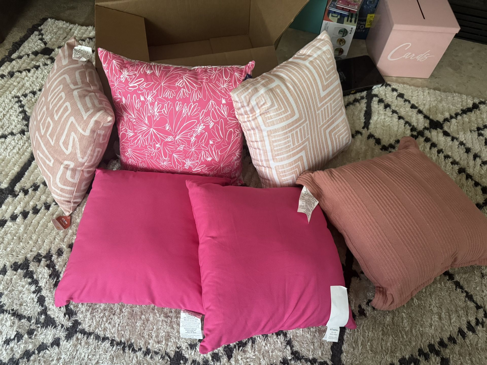 Decorative Outdoor/Indoor Pillows