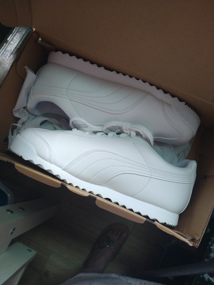 Pumas