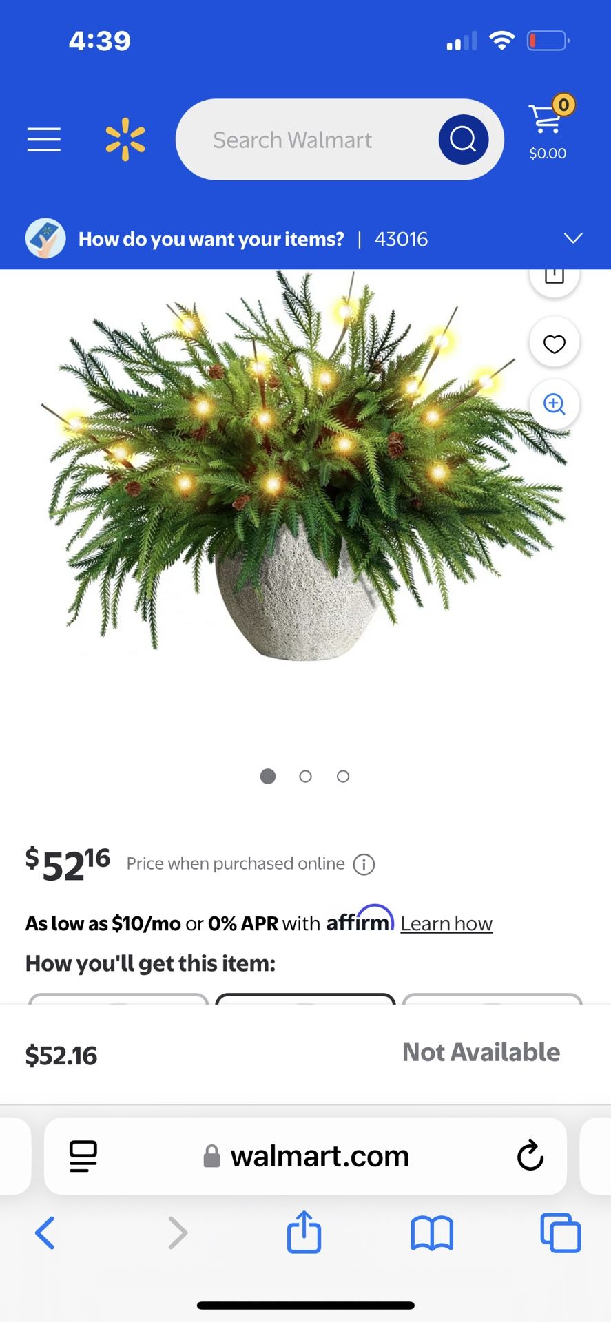 Norfolk pine Christmas Decorations