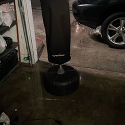 punching bag40$
