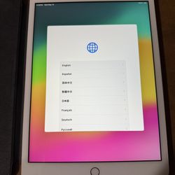 iPad 