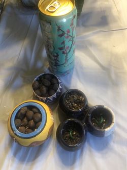 Pots for plants/Decorations