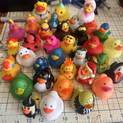 Rubber Ducky Novelty Jeep Collectible Bundle, 30+ Pcs. (contact info removed)9 