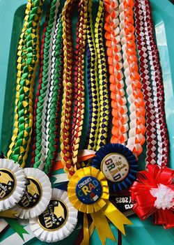 Grad Leis, Or For Any Occasion 