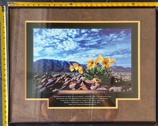 Successories - 22x28 frame - The Essence of Determination