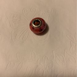 Bracelet Charm~ Sterling Silver 