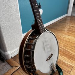 Remo Weather King Banjo