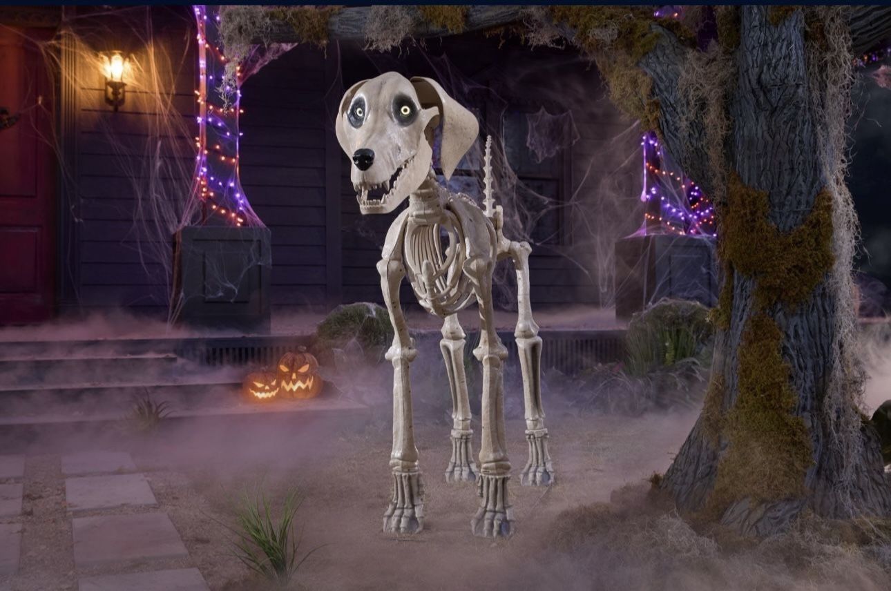 7ft skelly dog for sale!