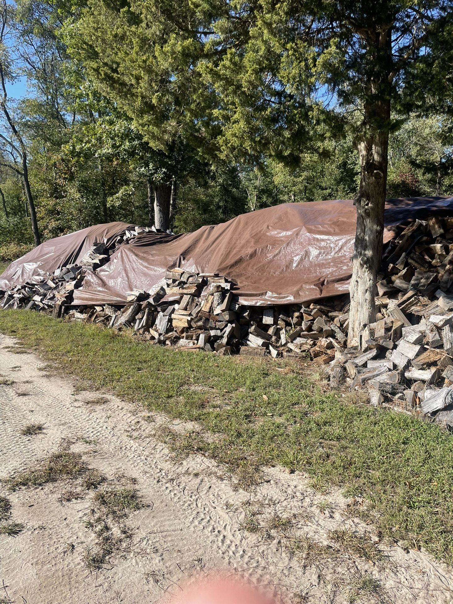Firewood