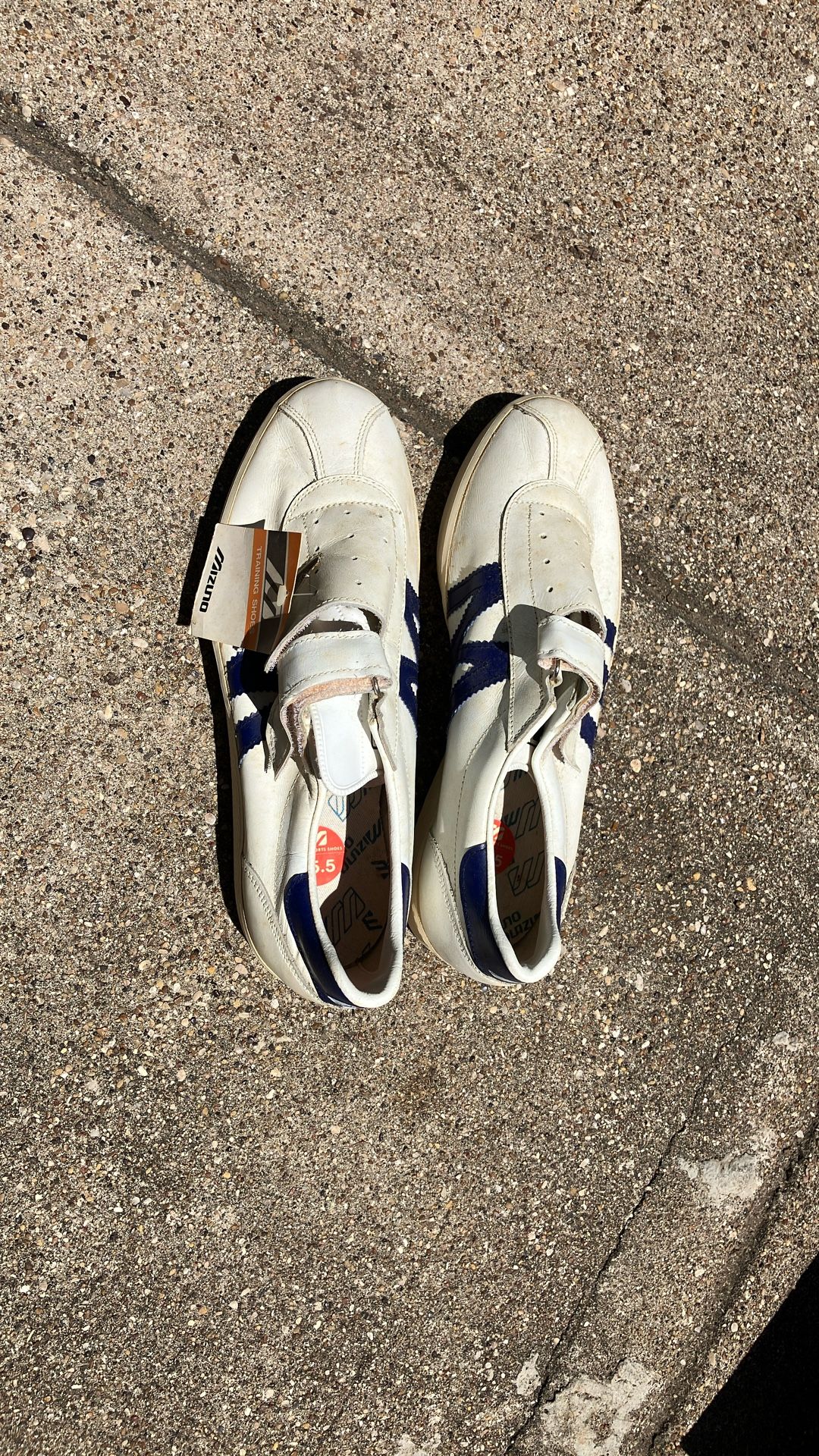 Mizuno Leather Training Shoes