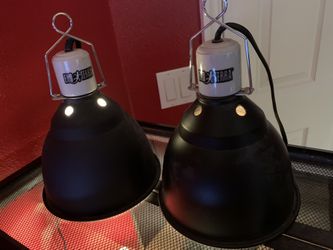 Exo Terra Basking Lamps