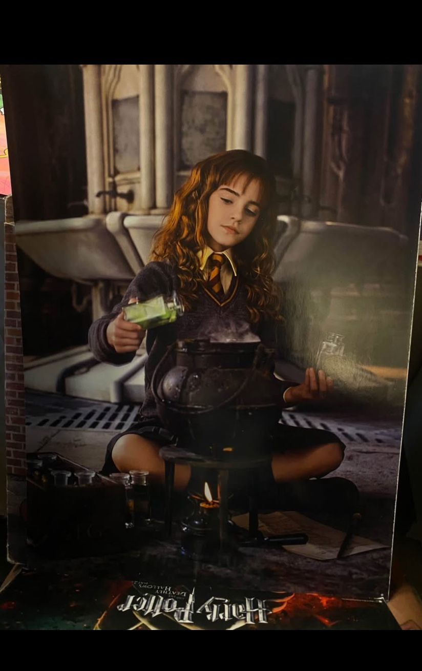 Harry Potter Promo Posters