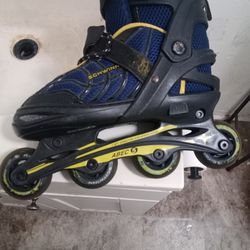 Shwinn Roller Blades