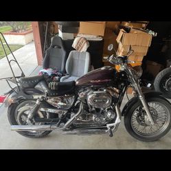2007 Harley Davidson Sportster 1200 Custom 