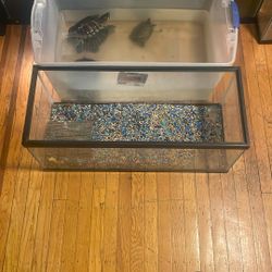 20 Gallon Fish Tank / Aquarium – Great Condition