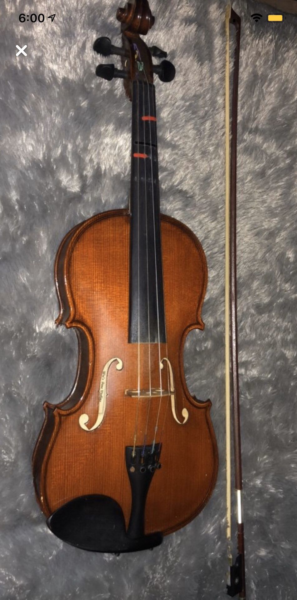 Violin