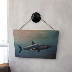 Shark artwork