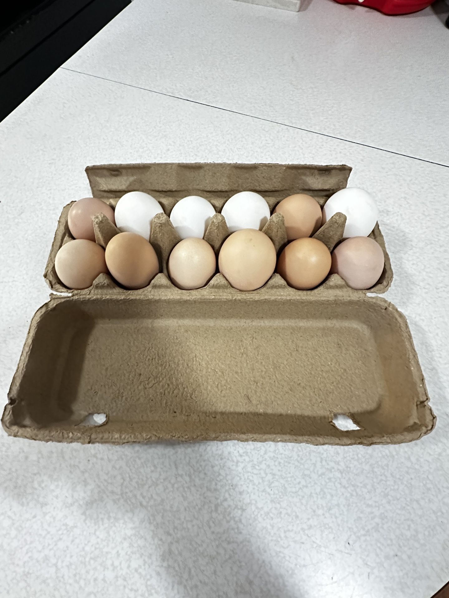 Huevos Orgánicos.  organic eggs
