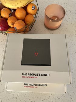 THE PEOPLES MINER ( BOBCAT MINER 300 ) 