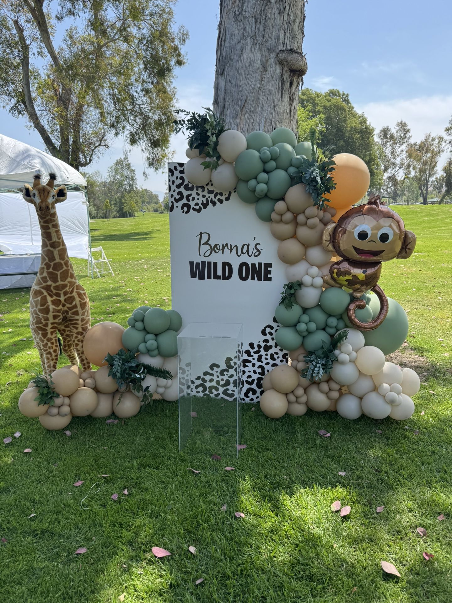 Safari Wall, Wild One Party Wall