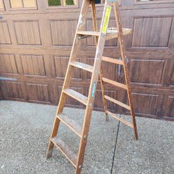 *** 6 FT Ladder ***