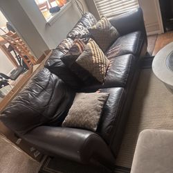 Couch W/ Queen Pull Out Bed
