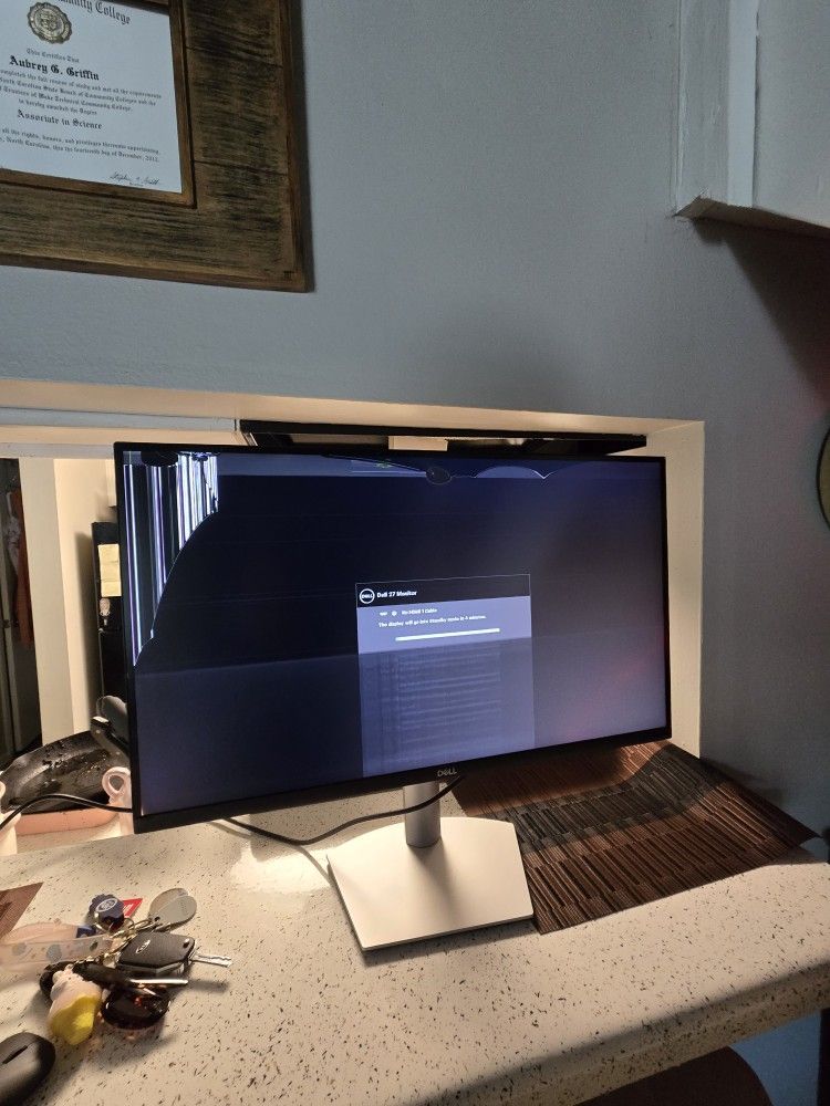 Dell Monitor